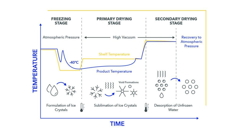 Lyophilization process optimization - Argonaut Manufacturing Services